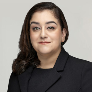 Tina Asgarian Formal