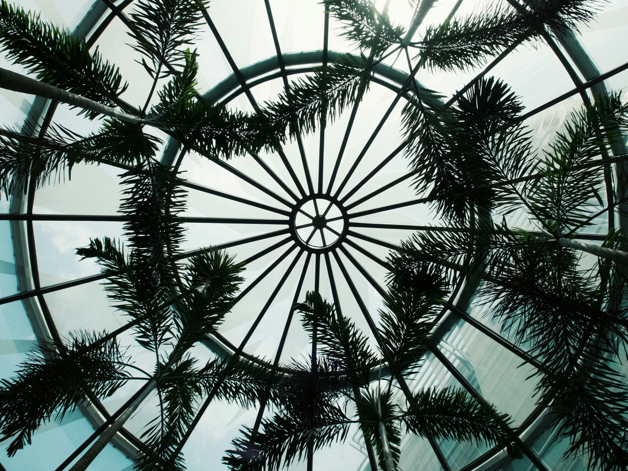 Blueish dome ceiling with palm branches