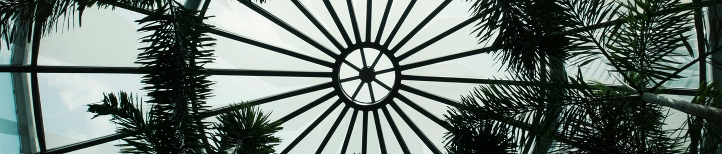 Blueish dome ceiling with palm branches
