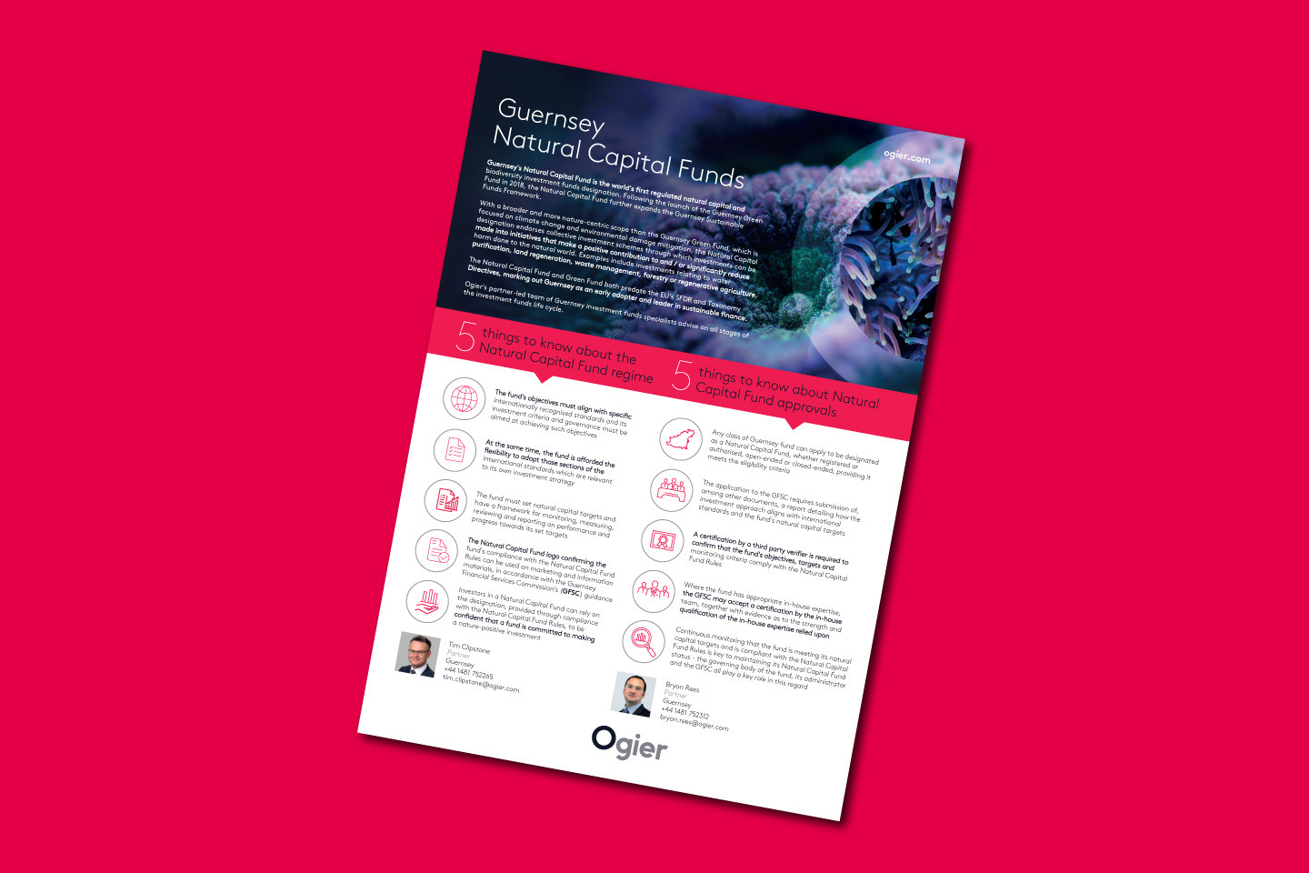 5 Things Guernsey Natural Capital Funds Featured Image April2025