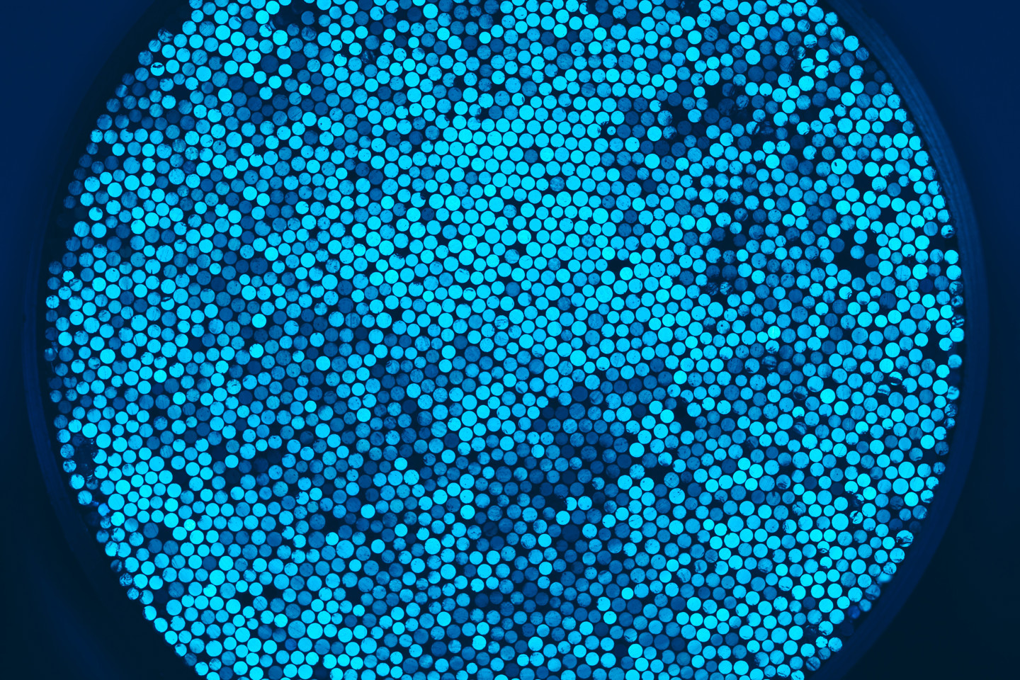 Hundreds of bright blue spots forming a circle 