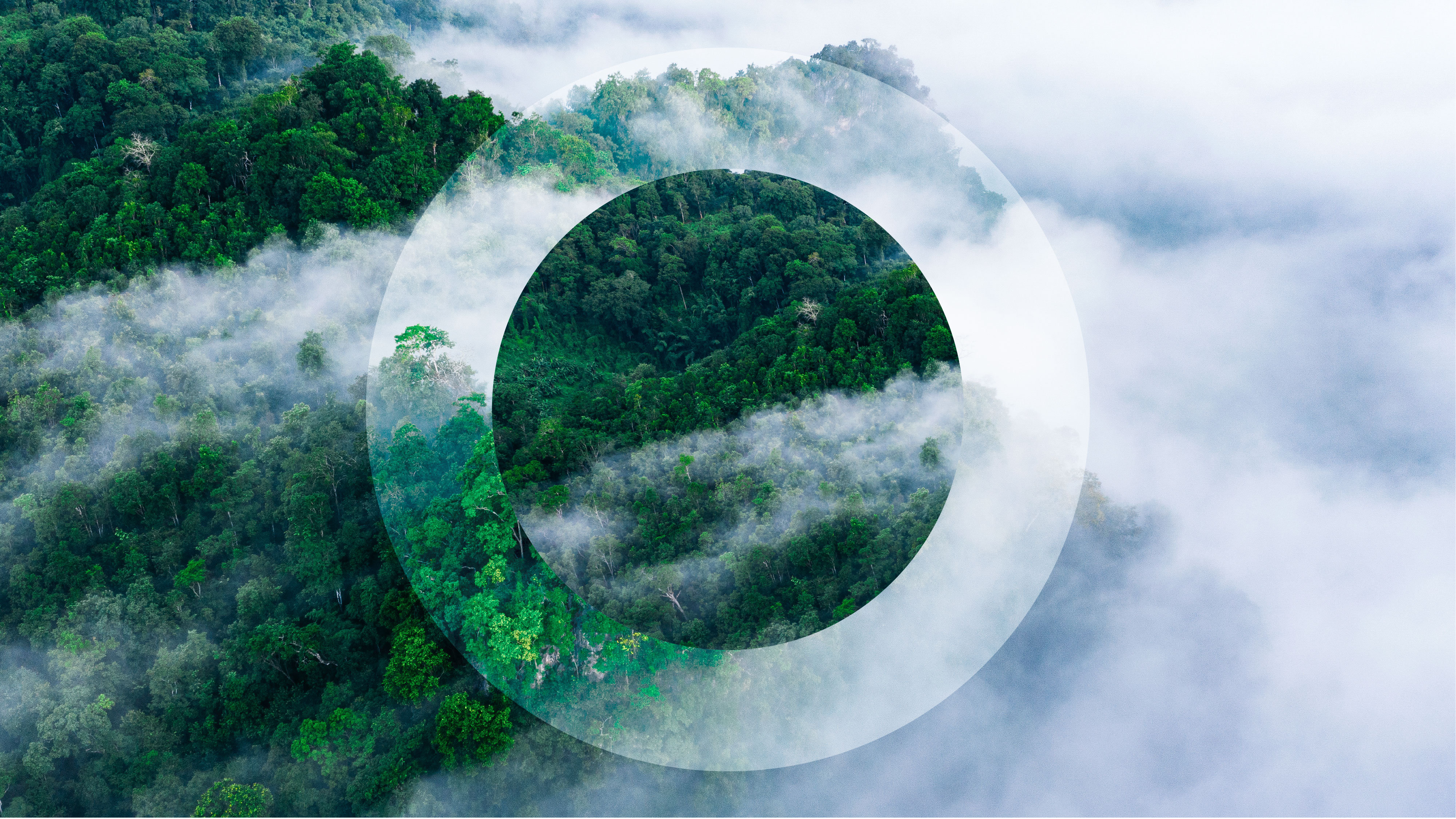 ESG Forest and Clouds