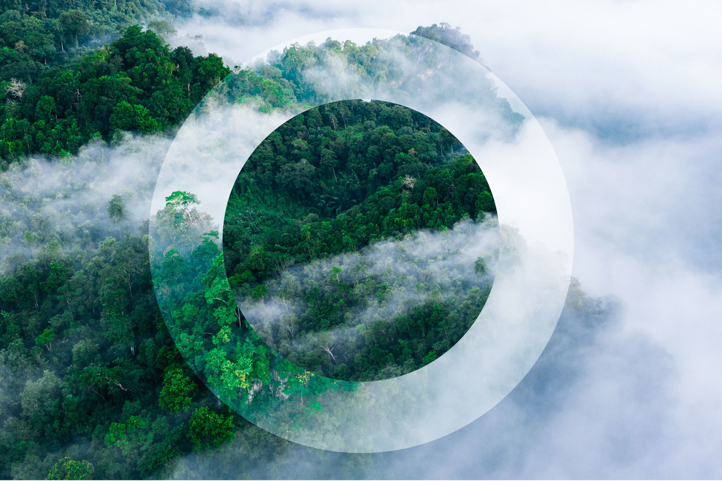 ESG Forest and Clouds