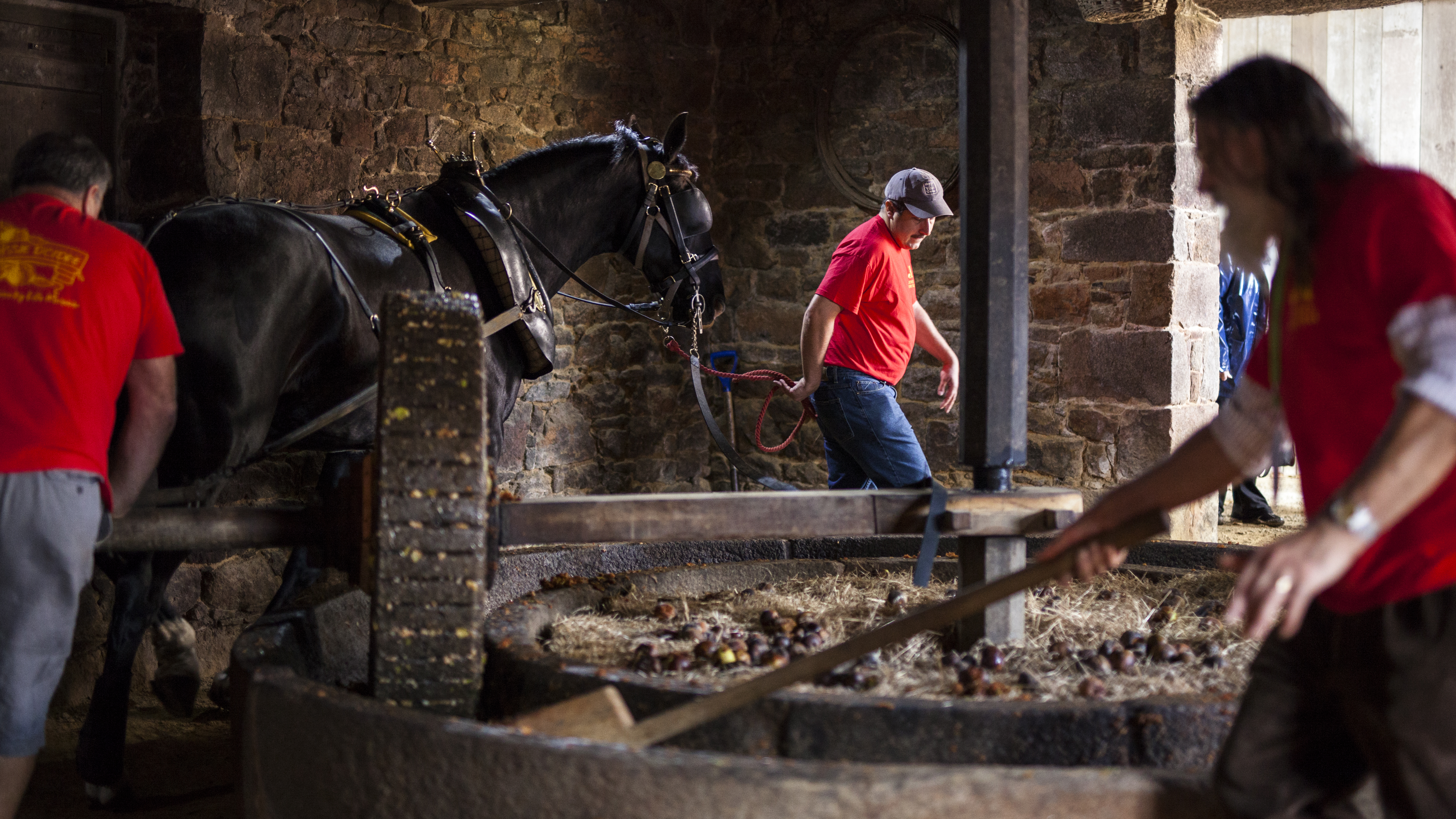 Volunteers And The Apple Crusher At Hamptonne CREDIT Tom Kennedy