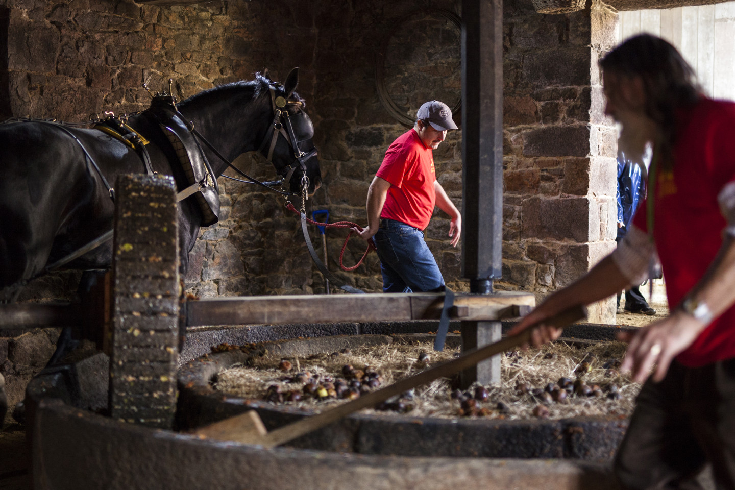 Volunteers And The Apple Crusher At Hamptonne CREDIT Tom Kennedy