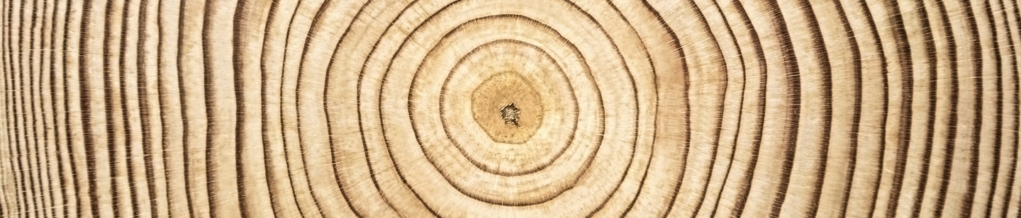 Tree Rings