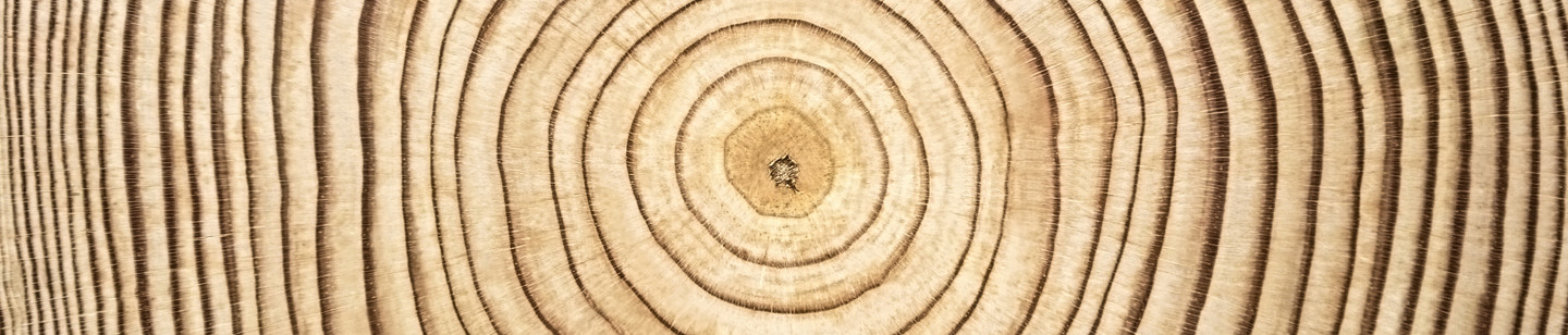 Tree Rings