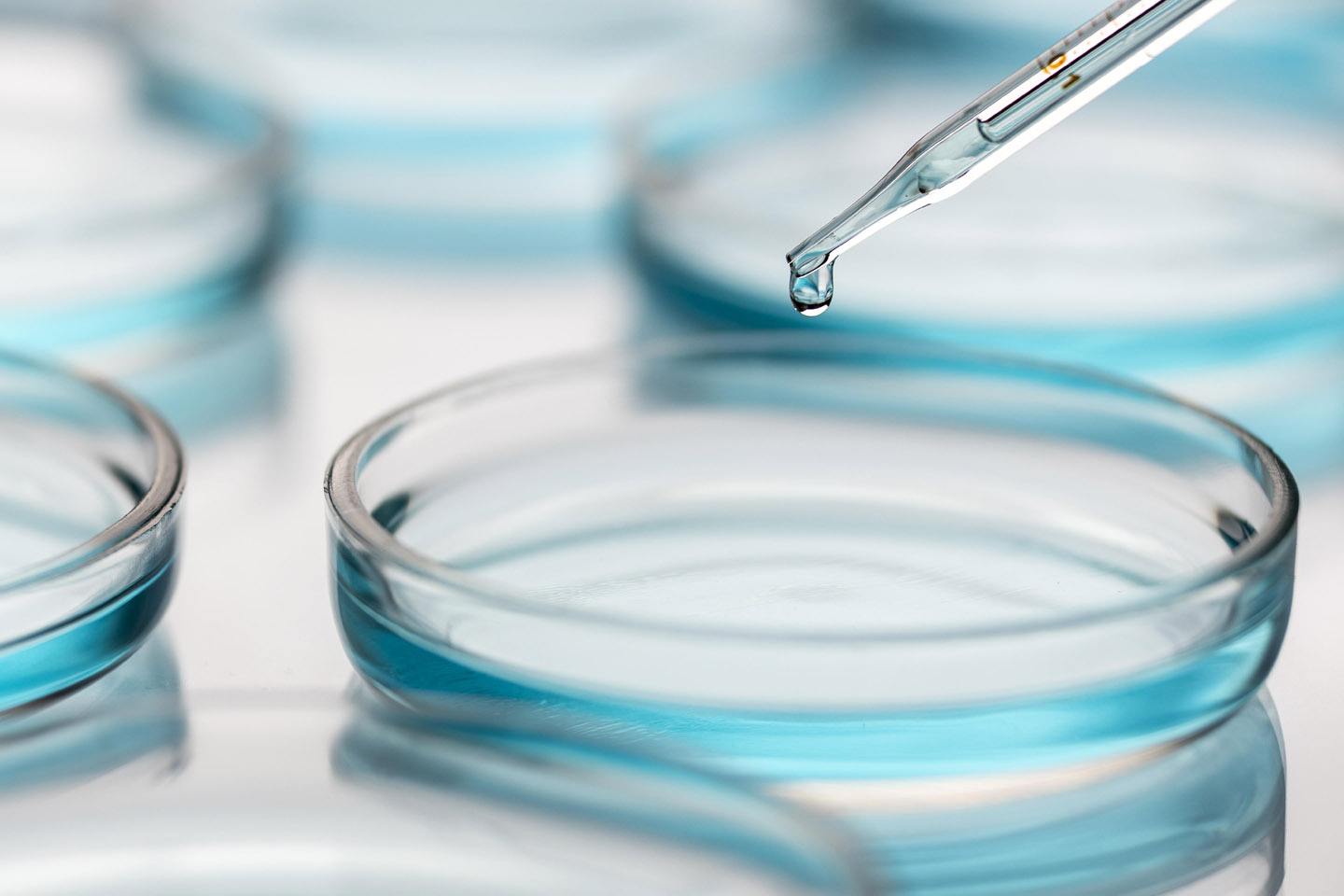 pipette dripping a droplet of solution in a petri dish