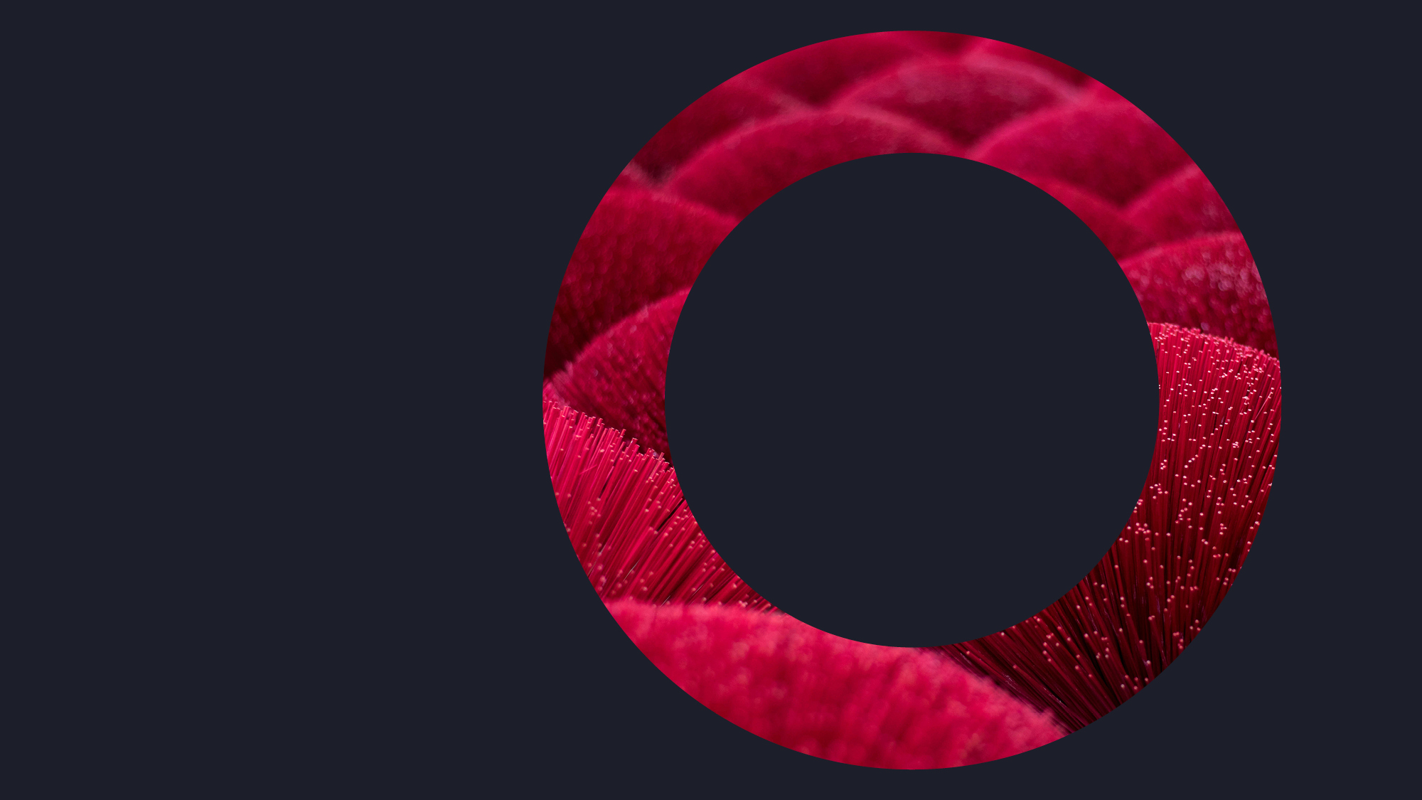 Sho Og 0546 Ogier Funds Web Banner 2000X1125 March2024