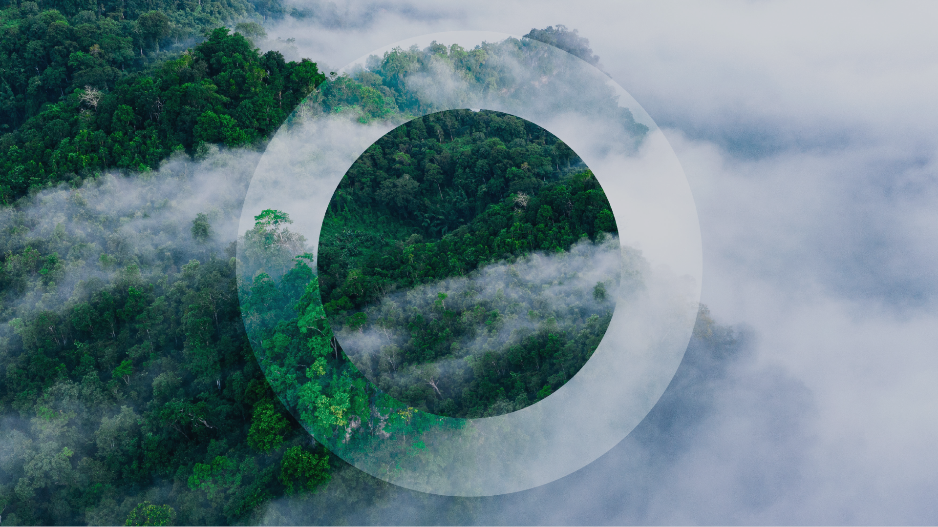 'O' overlayed over a cloudy forest 