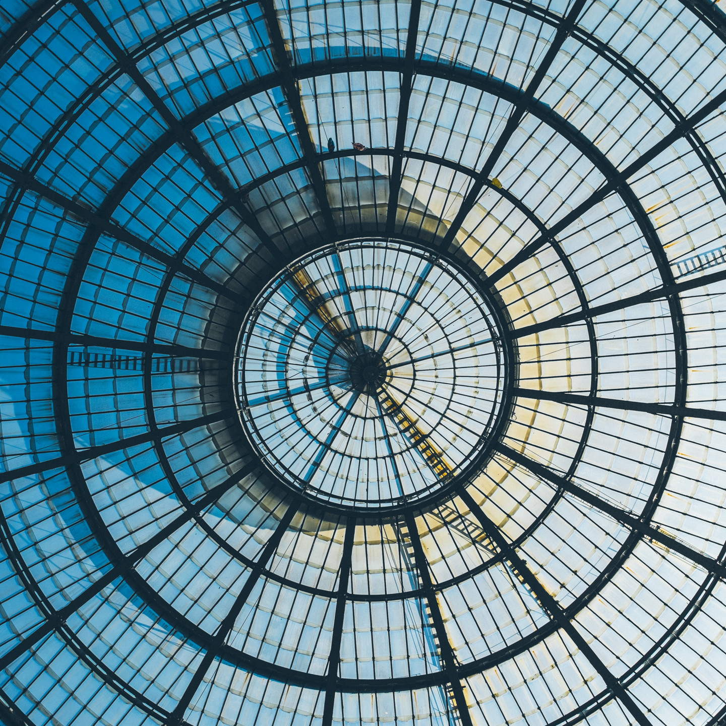 Dome greenhouse ceiling 