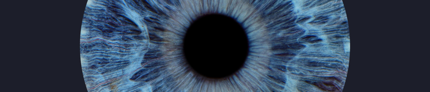 Blue Iris (Regulatory)